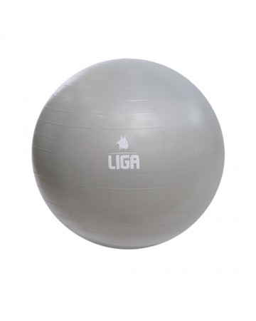 Μπάλα γυμναστικής 55cm (Gym Ball) (ροζ) LIGASPORT*