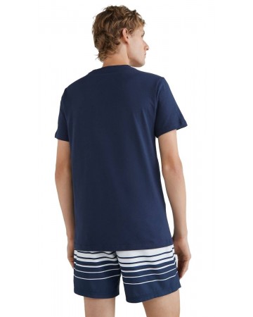 Ανδρικό T-Shirt O'Neill Tide T-Shirt 2850004 15011M