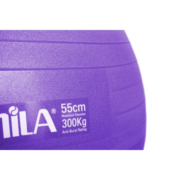 Μπάλα Γυμναστικής Amila Gymball 55cm Μωβ 95830