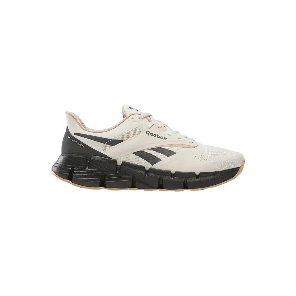 Ανδρικά Παπούτσια Running Reebok Zig Dynamica 5 FTW 100210038