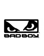 Bad Boy